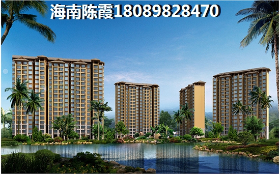 海南儋州房子值得投资吗（去海南买小区生活方便吗）