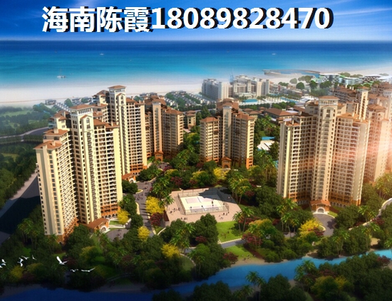 海南未来发展前景醉好的市县