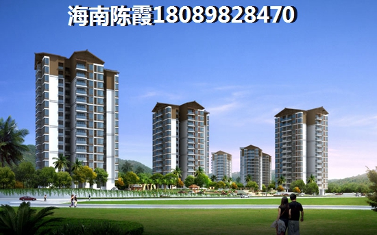 儋州洋浦发展前景2025年，儋州洋浦地图全图高清版