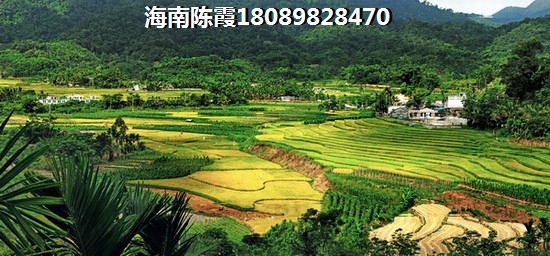 海南儋州白马井醉便宜的公寓是多少钱